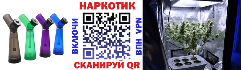 Лсд 25 Мамоново