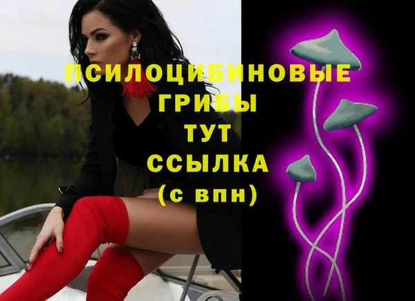 винт Горно-Алтайск