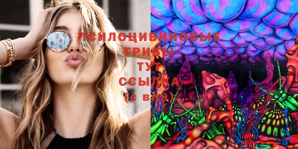 винт Горно-Алтайск