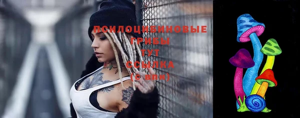 винт Горно-Алтайск