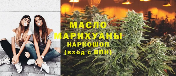 гидра Горнозаводск
