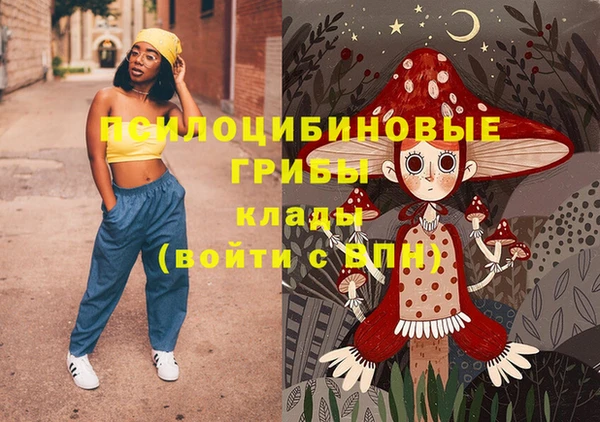 амф Гусиноозёрск