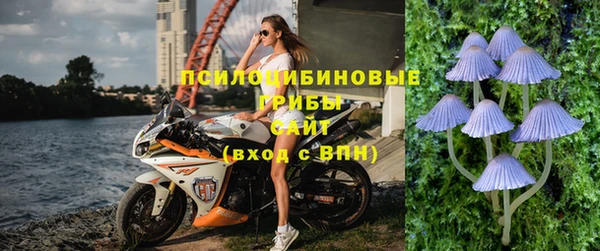 гидра Горнозаводск