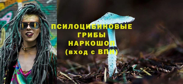 хмурый Гусев
