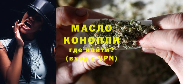 гидра Горнозаводск