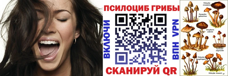Купить где  Мамоново  Галлюциногенные грибы Cubensis 